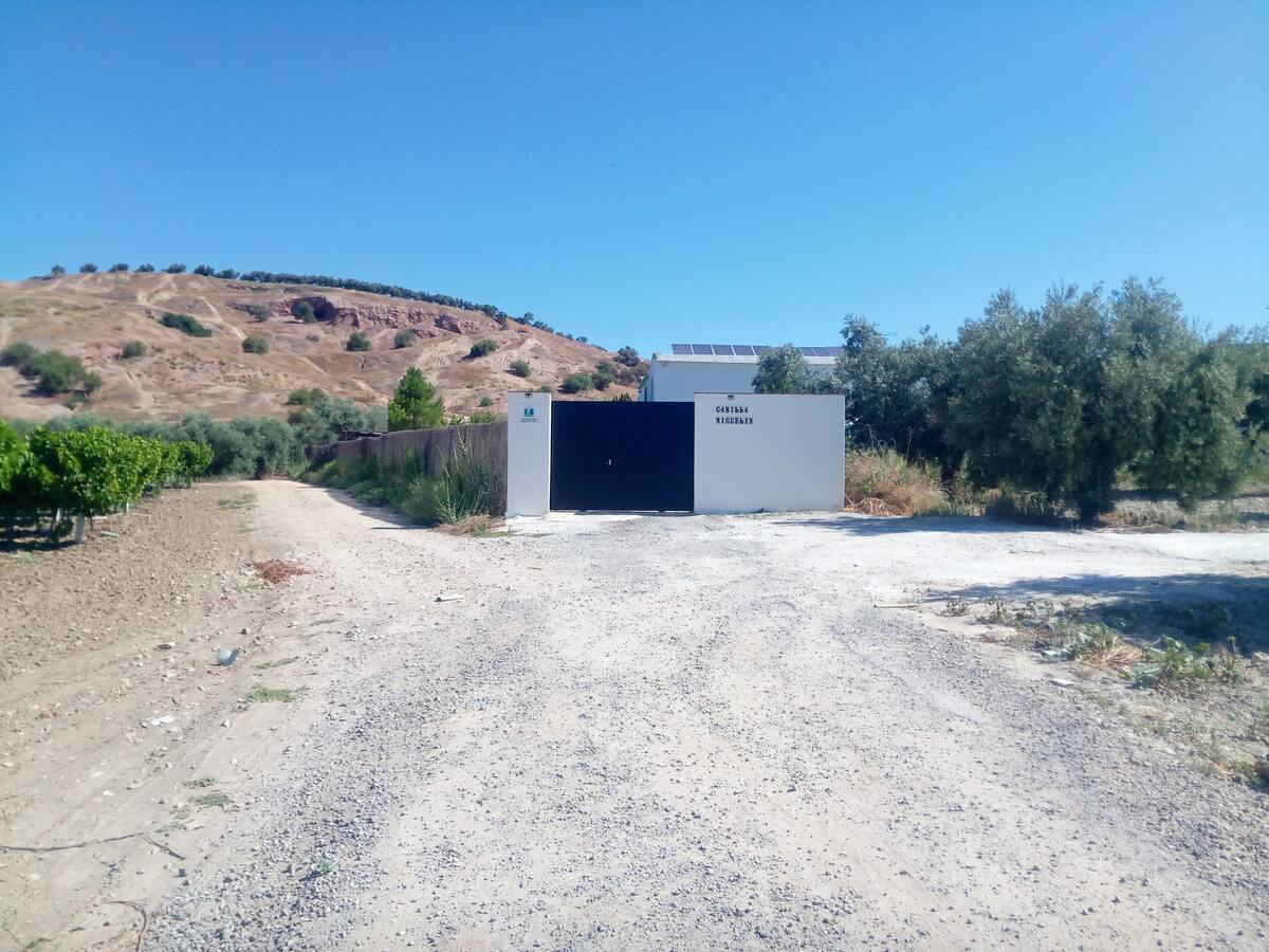 Maison 10 pers. avec piscine ouverte toute l'année à Montilla - Photo 14