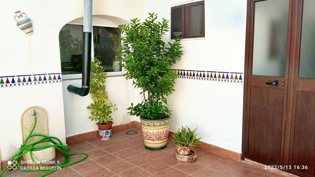 Maison 10 pers. avec piscine ouverte toute l'année à Montilla - Photo 24
