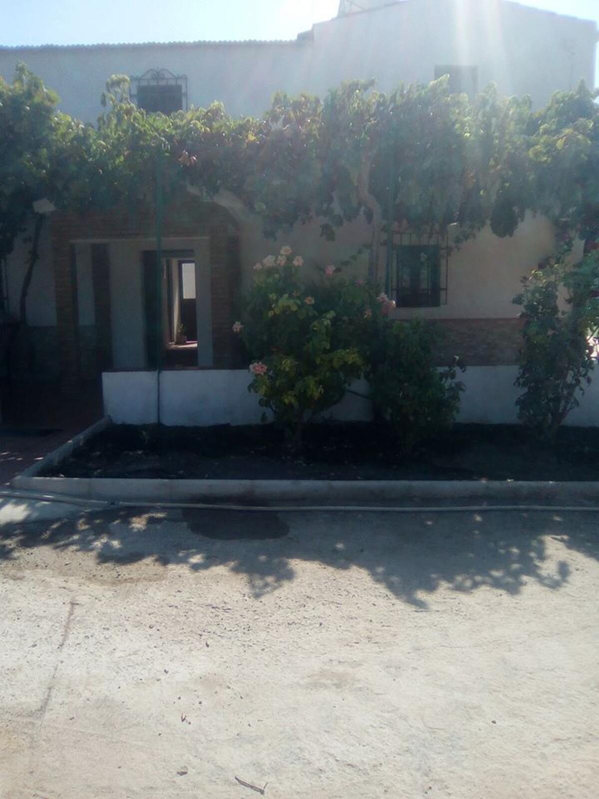 Maison 10 pers. avec piscine ouverte toute l'année à Montilla - Photo 55