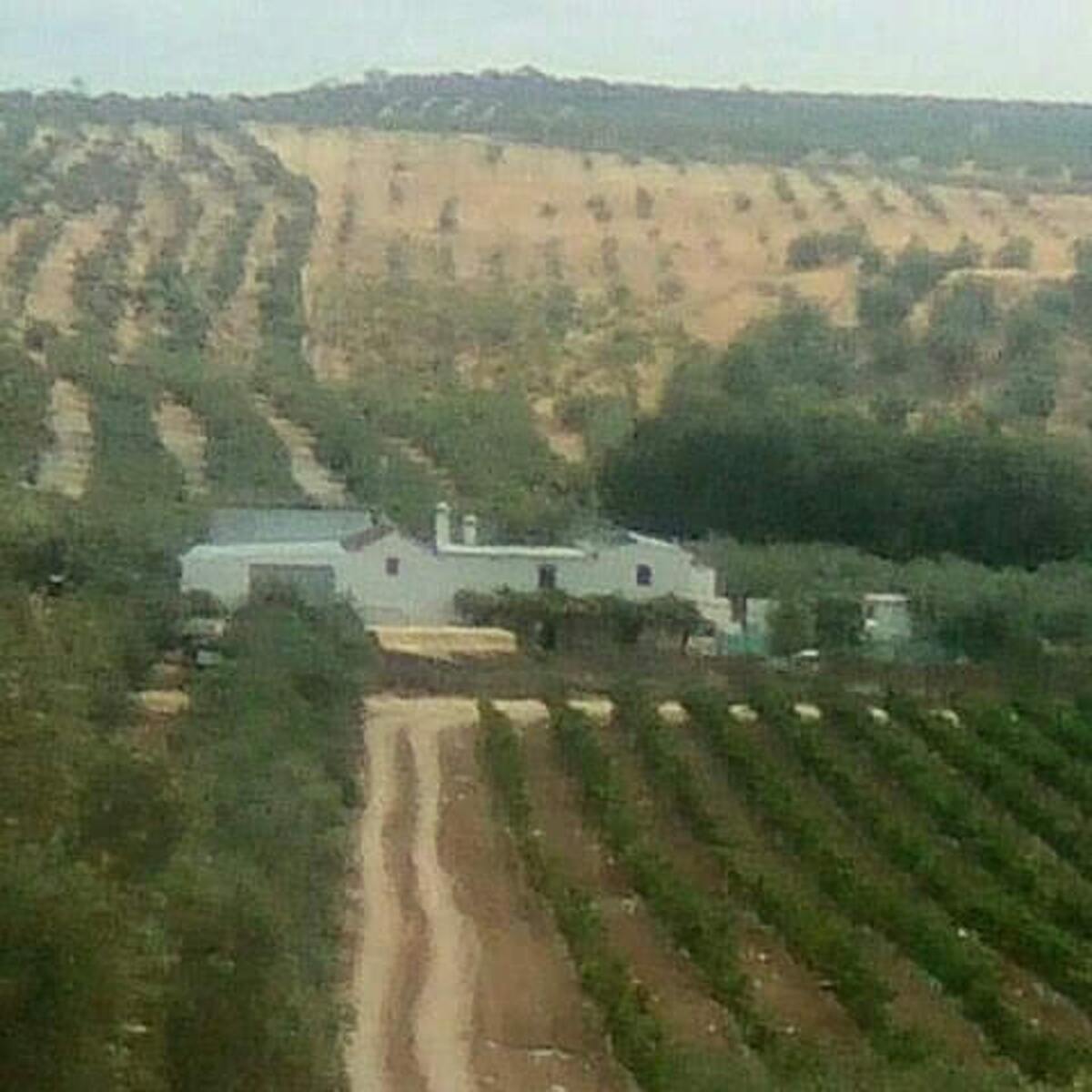 Maison 10 pers. avec piscine ouverte toute l'année à Montilla - Photo 76