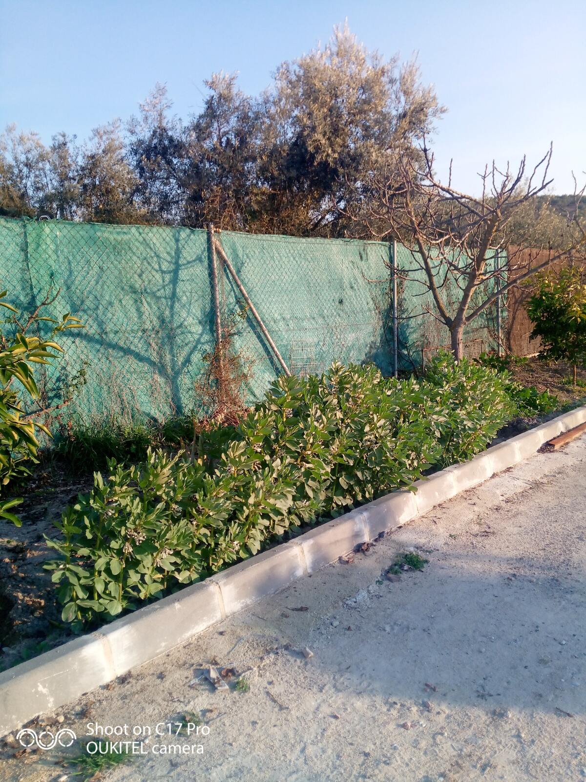 Maison 10 pers. avec piscine ouverte toute l'année à Montilla - Photo 91