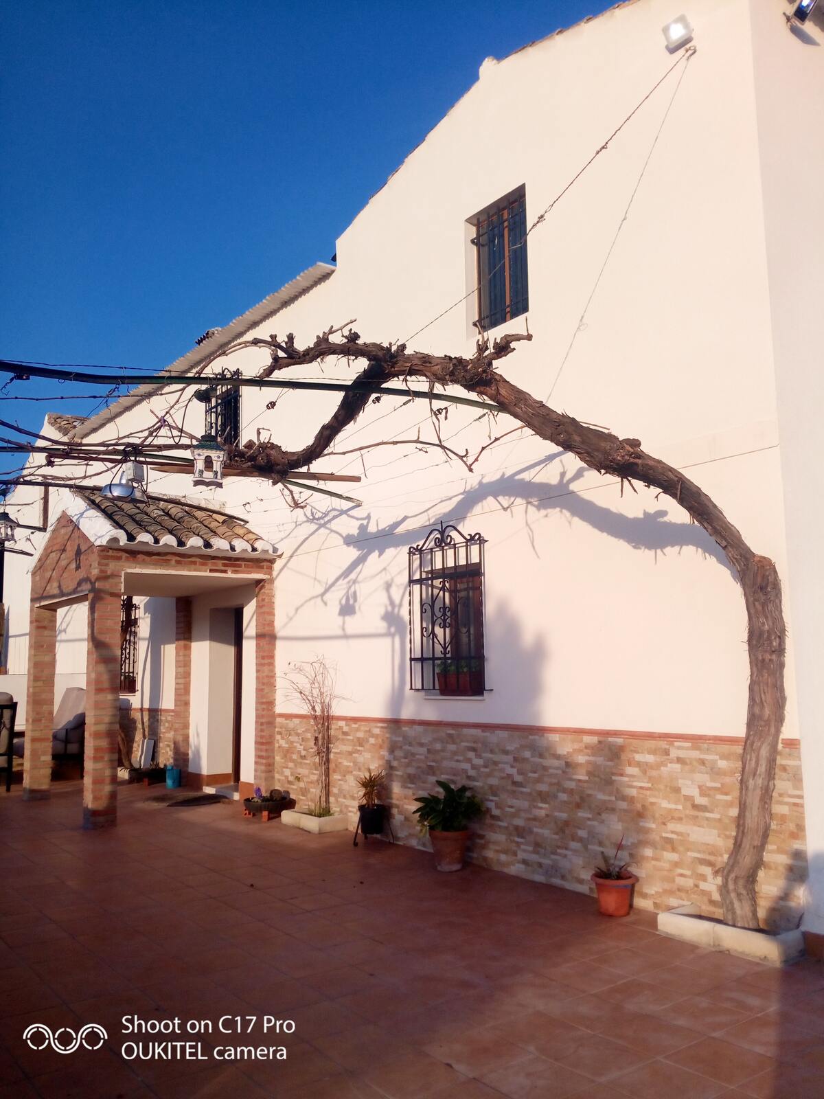 Maison 10 pers. avec piscine ouverte toute l'année à Montilla - Photo 92