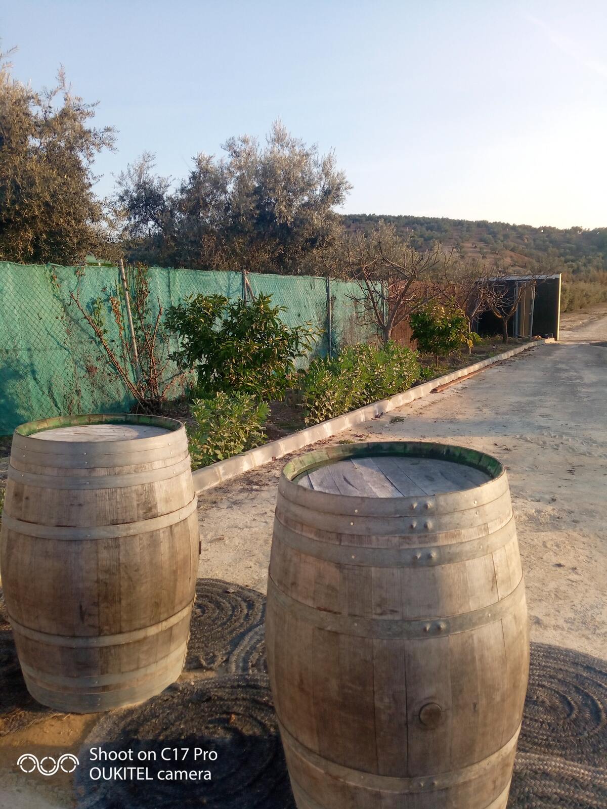 Maison 10 pers. avec piscine ouverte toute l'année à Montilla - Photo 93
