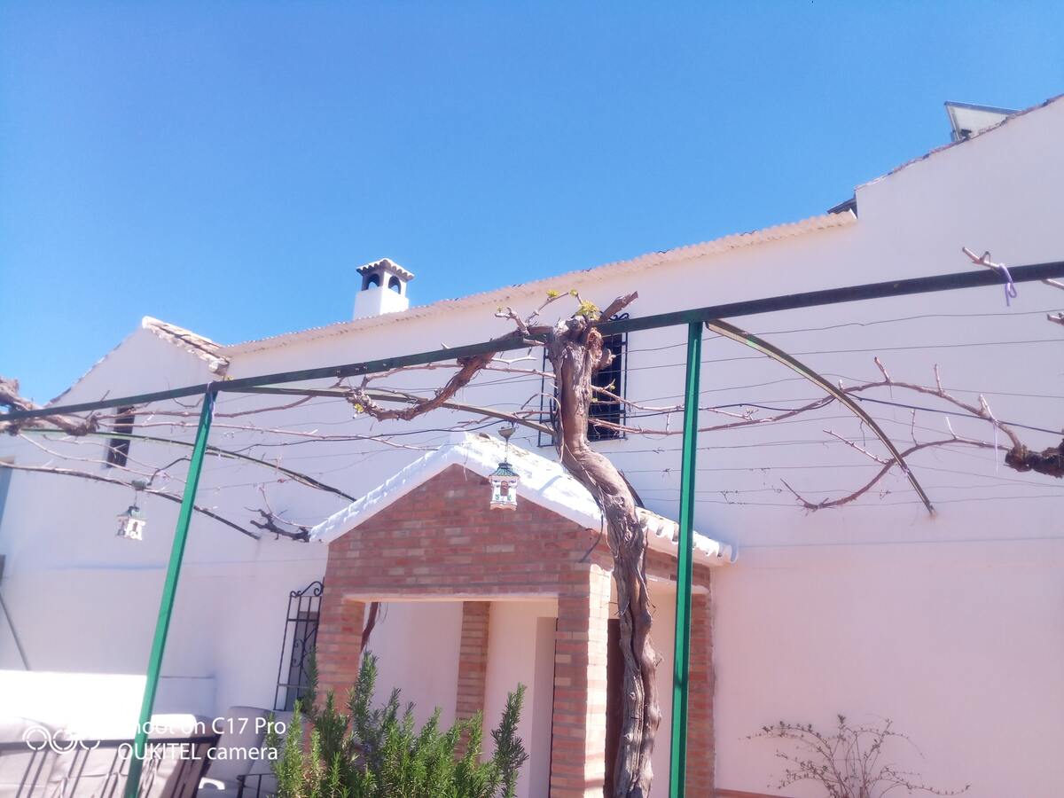 Maison 10 pers. avec piscine ouverte toute l'année à Montilla - Photo 97