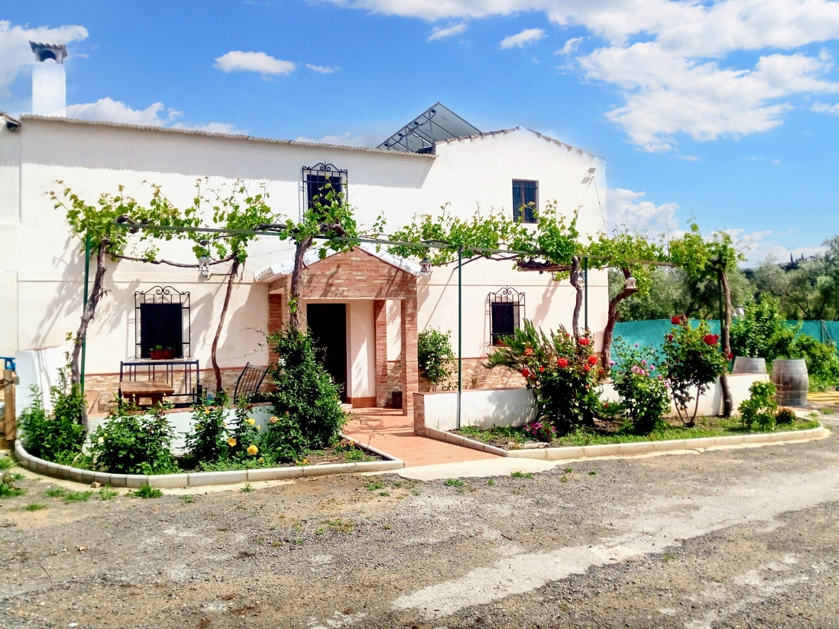 Maison 10 pers. avec piscine ouverte toute l'année à Montilla - Photo 101