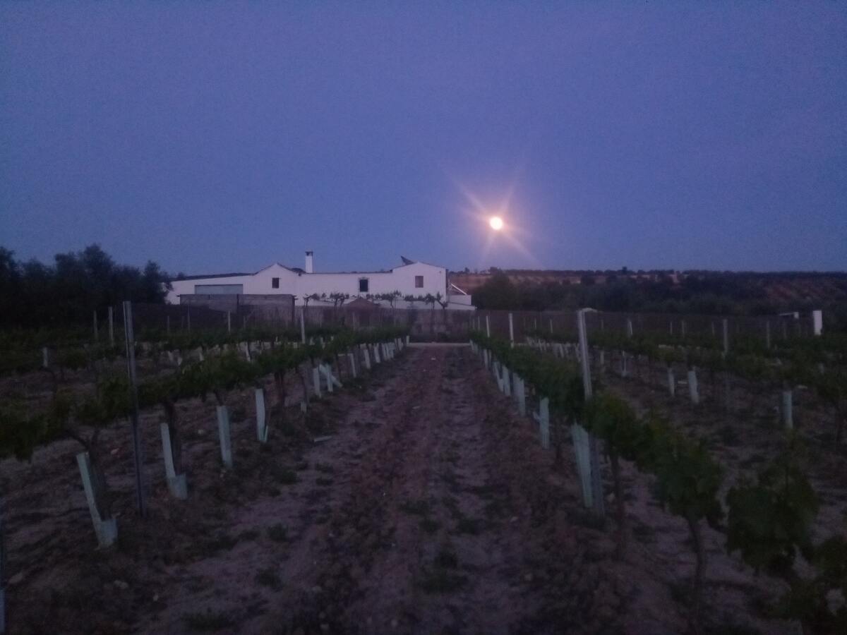 Maison 10 pers. avec piscine ouverte toute l'année à Montilla - Photo 102