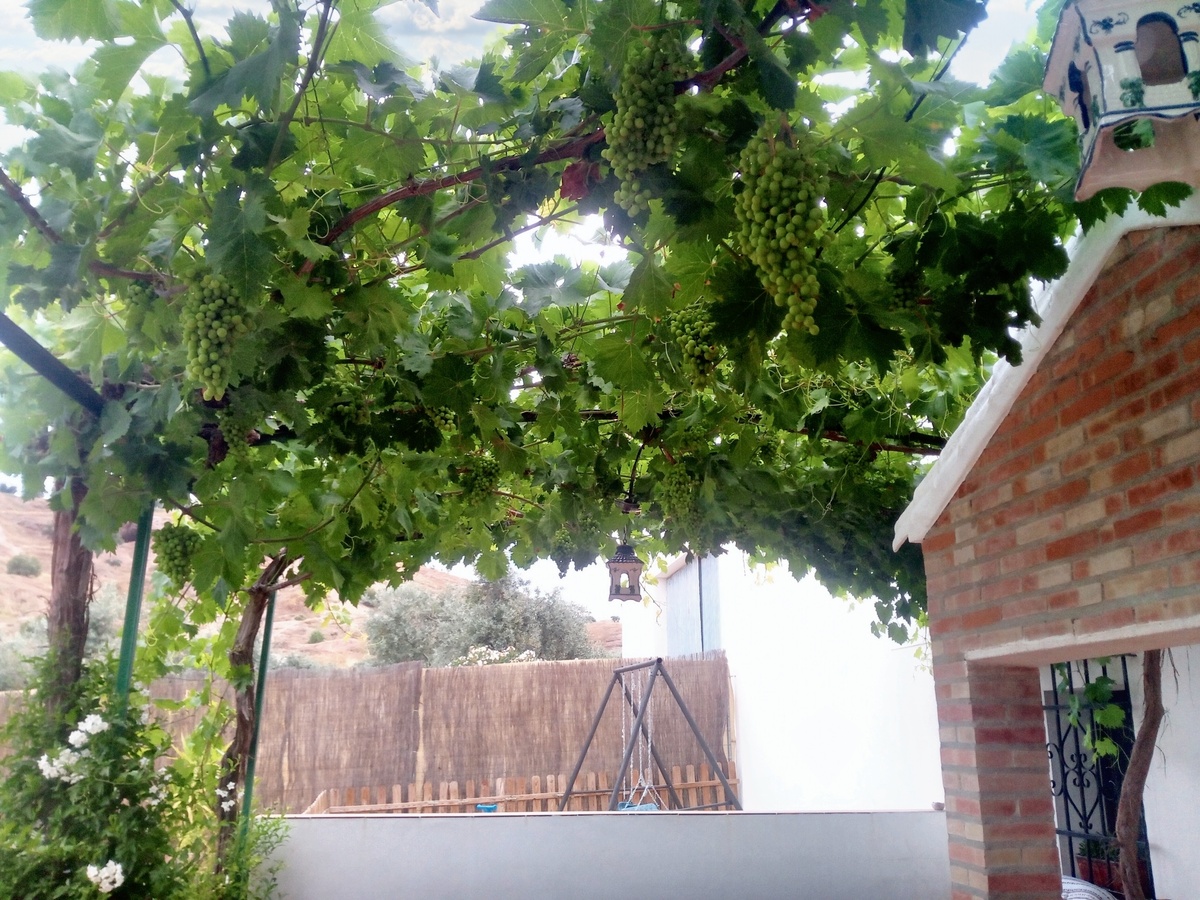 Maison 10 pers. avec piscine ouverte toute l'année à Montilla - Photo 111