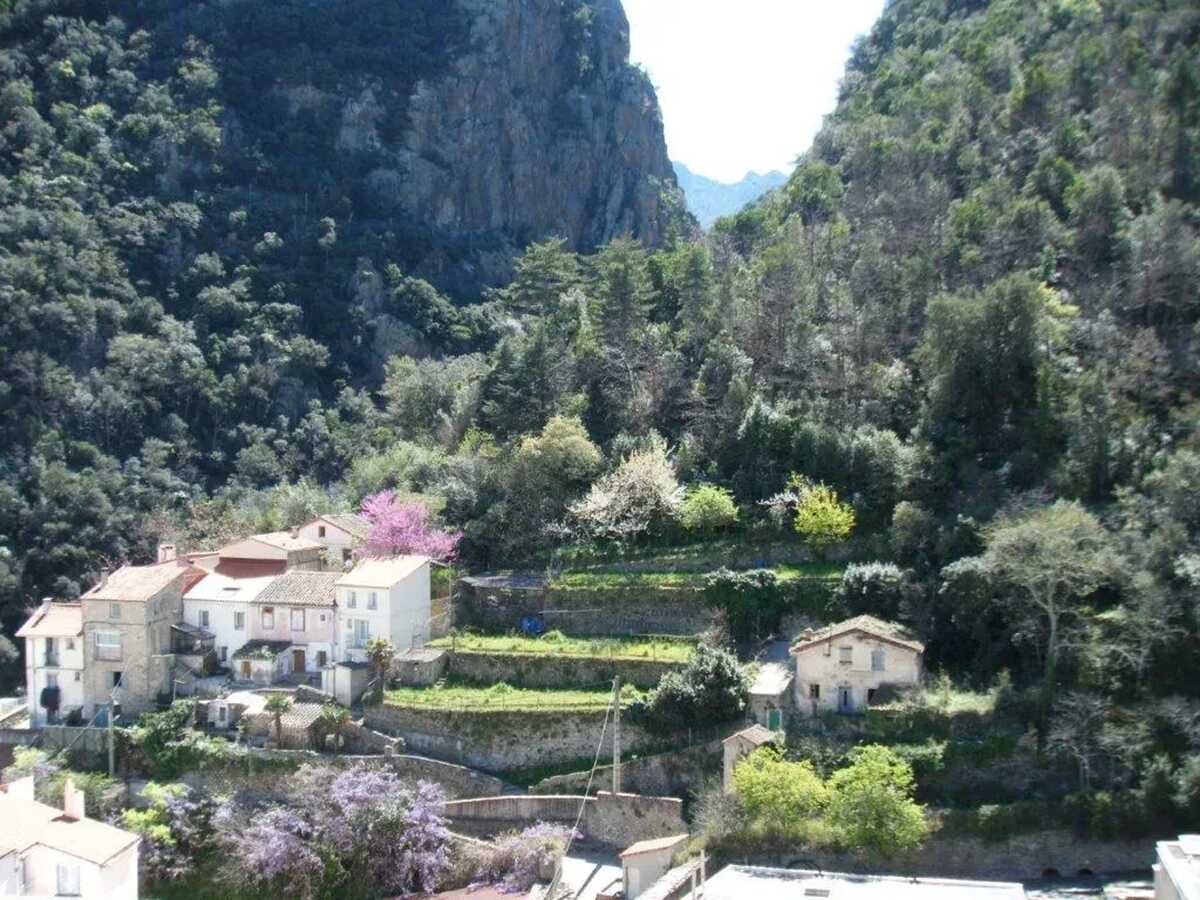 Studio 32 m² avec terrasse vue montagne à Amélie-les-Bains - Photo 14