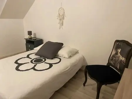 Maison à Troyes avec jardin clôturé, terrasse et barbecue, 9 pers. : photo 14