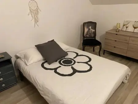 Maison à Troyes avec jardin clôturé, terrasse et barbecue, 9 pers. : photo 15