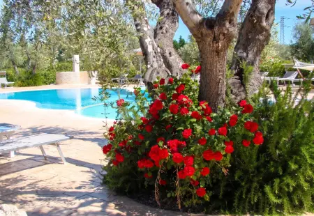 Appartement 35 m² avec piscine partagée à Vieste, Italie : photo 17