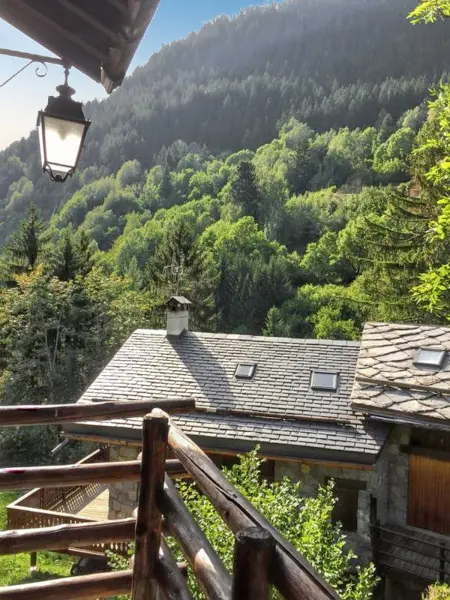 Chalet chaleureux à Champagny-en-Vanoise avec jacuzzi - Photo 21
