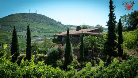 Villa avec piscine privée et vue montagne à Lamego, Portugal : photo 18