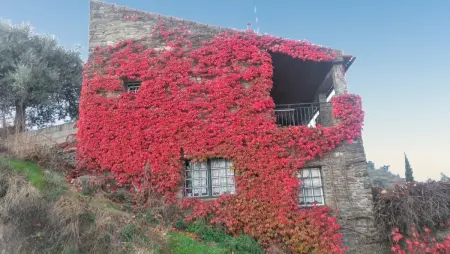 Villa avec piscine privée et vue montagne à Lamego, Portugal : photo 19