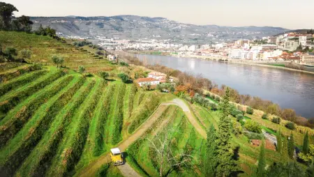 Villa avec piscine privée et vue montagne à Lamego, Portugal : photo 35