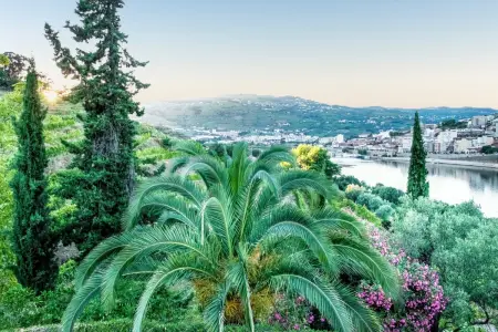 Villa avec piscine privée et vue montagne à Lamego, Portugal : photo 40