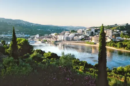 Villa avec piscine privée et vue montagne à Lamego, Portugal : photo 48