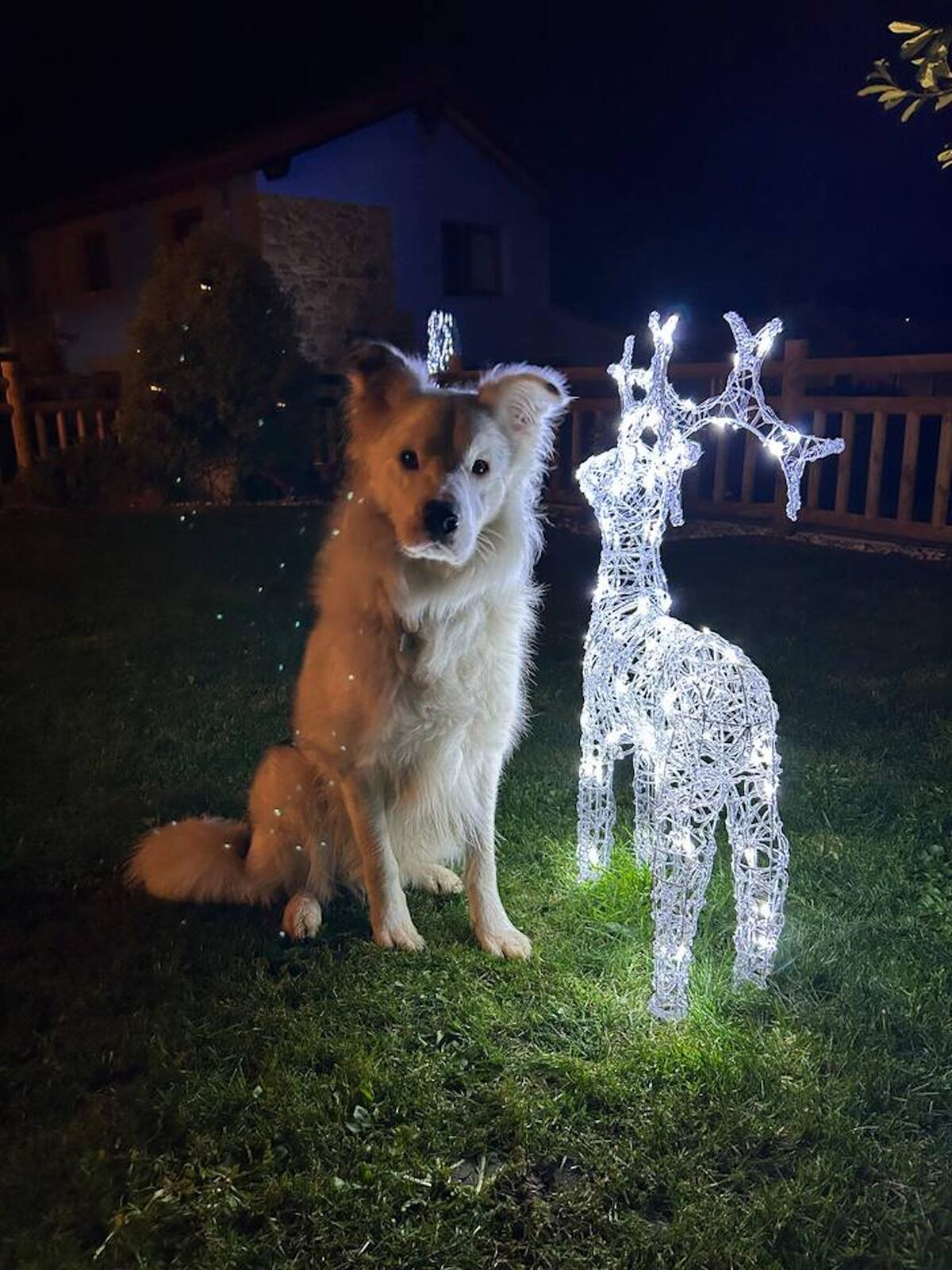 Maison 18 m² à Biescas, piscine toute l'année - Photo 56