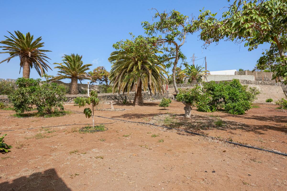 Maison 75 m² avec piscine à Buenavista del Norte - Photo 19