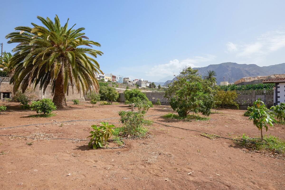 Maison 75 m² avec piscine à Buenavista del Norte - Photo 20