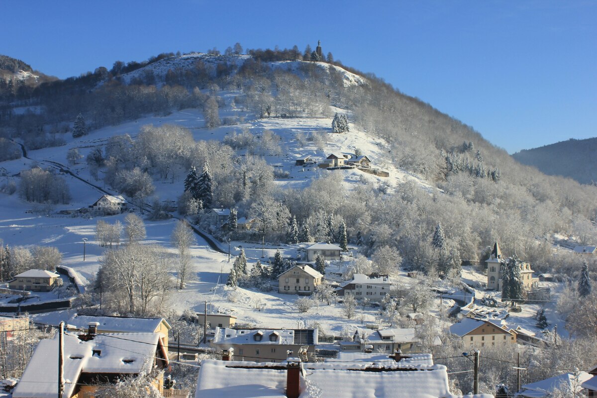 Appartement 30 m² avec terrasse vue montagne à Cornimont - Photo 6