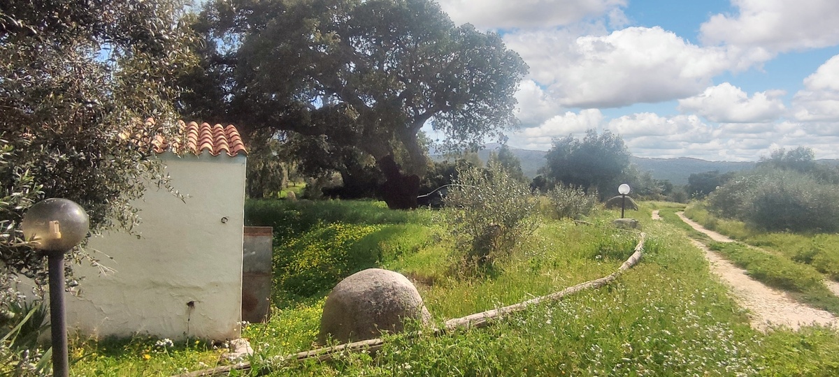 Appartement 50 m² Arbus, jardin et vue montagne - Photo 15