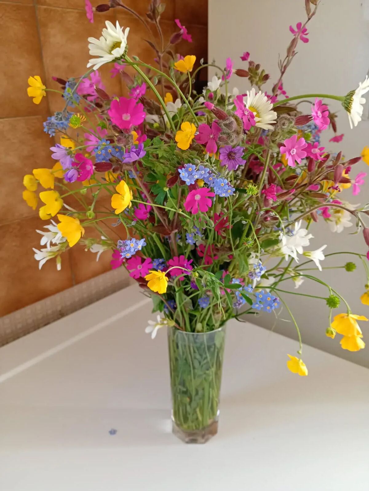 Maison de campagne avec jardin clos à Valprivas - Photo 22