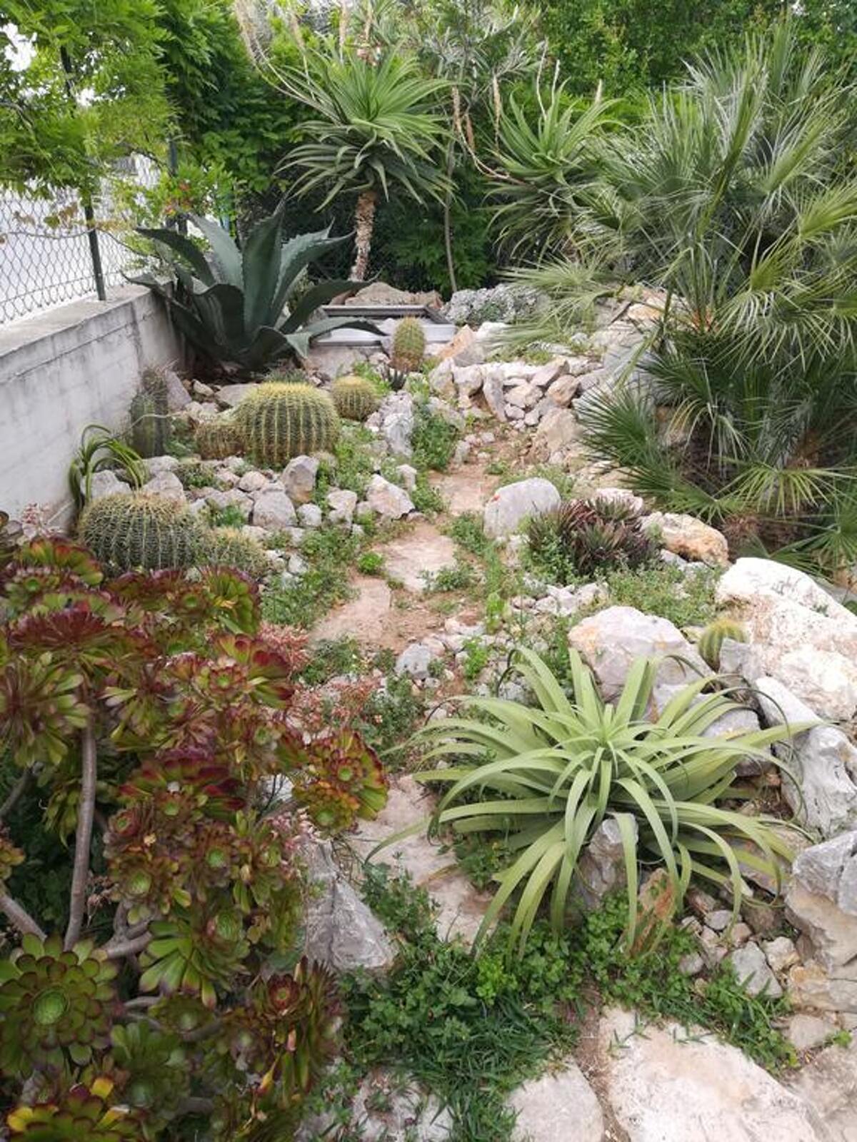 Appartement 60 m² avec jardin et barbecue à Cinisi - Photo 24