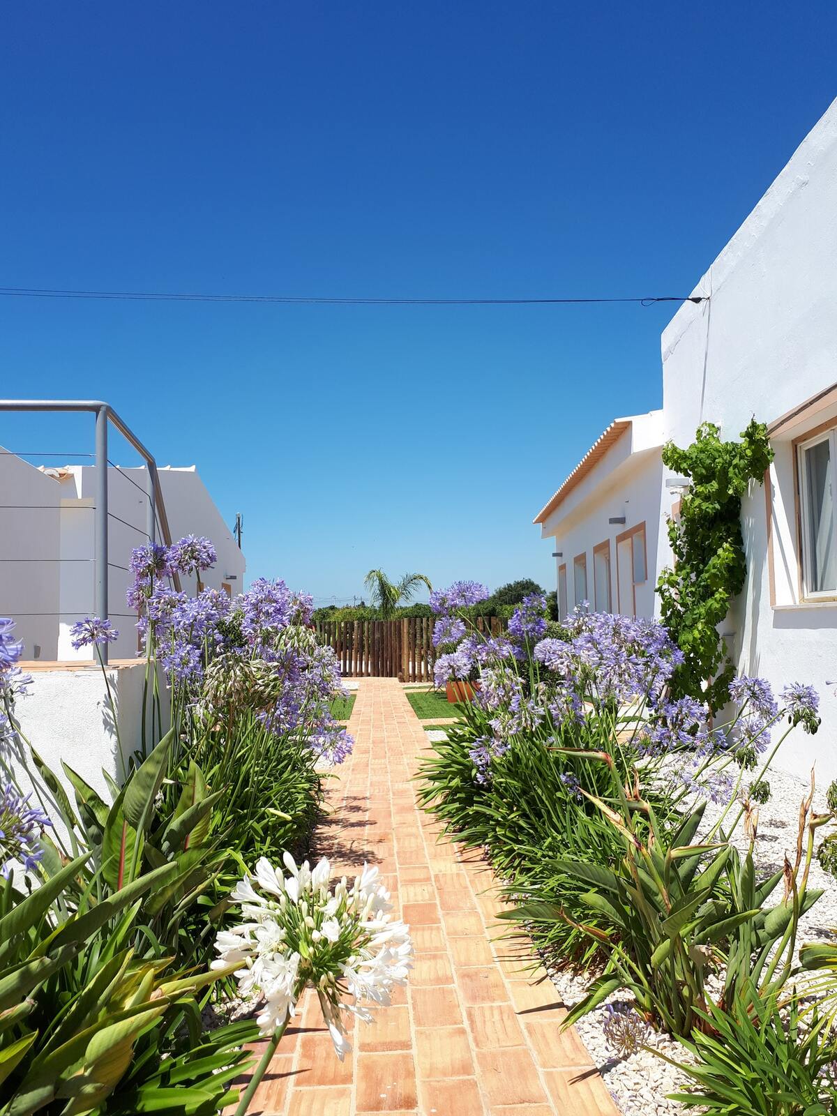 Studio avec piscine partagée et jardin clôturé à Faro - Photo 3