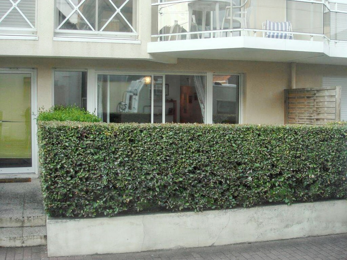 Appartement 55 m² avec jardin clôturé au Touquet - Photo 1