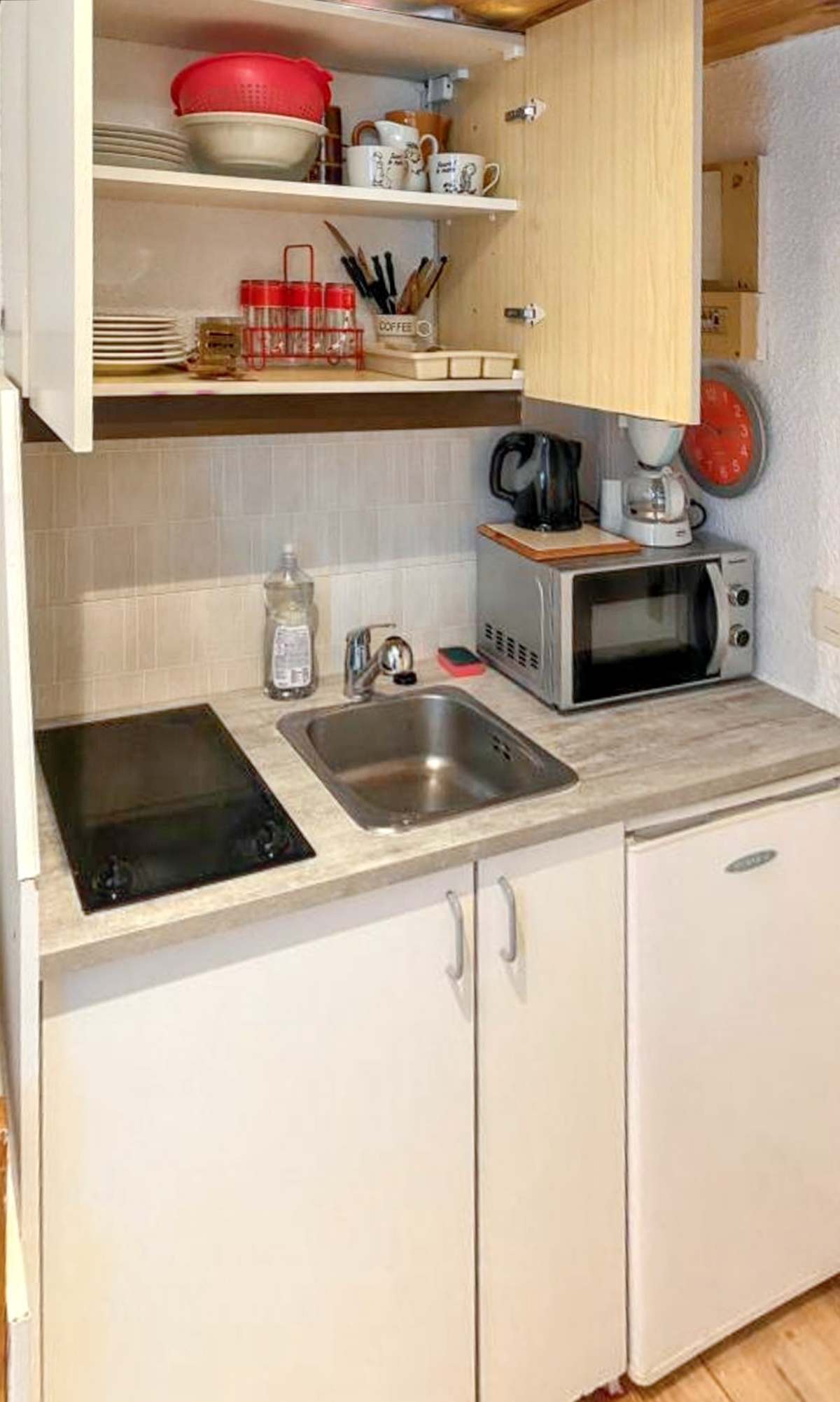 Studio 15 m² vue montagne à Uvernet-Fours - Photo 13
