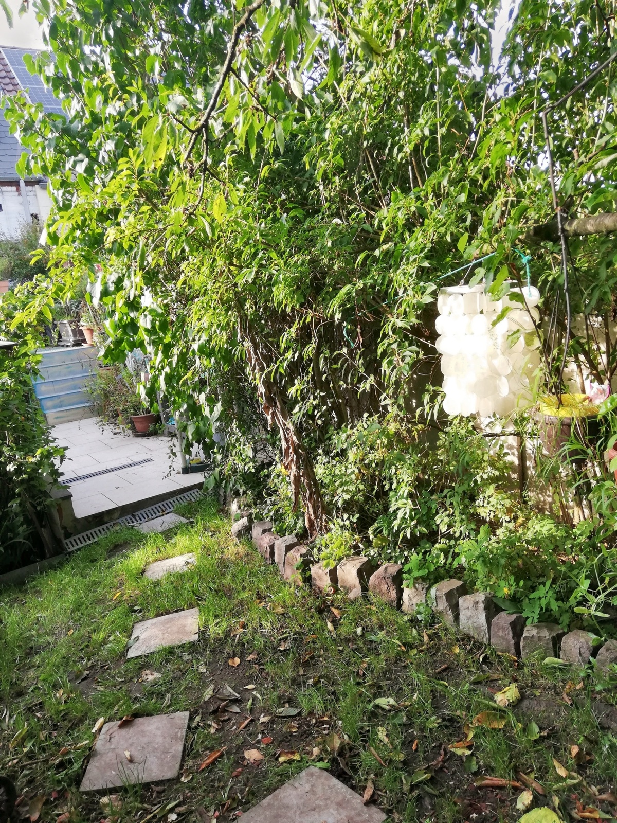 Appartement cosy à Estinnes, 40 m², jardin clôturé partagé - Photo 11