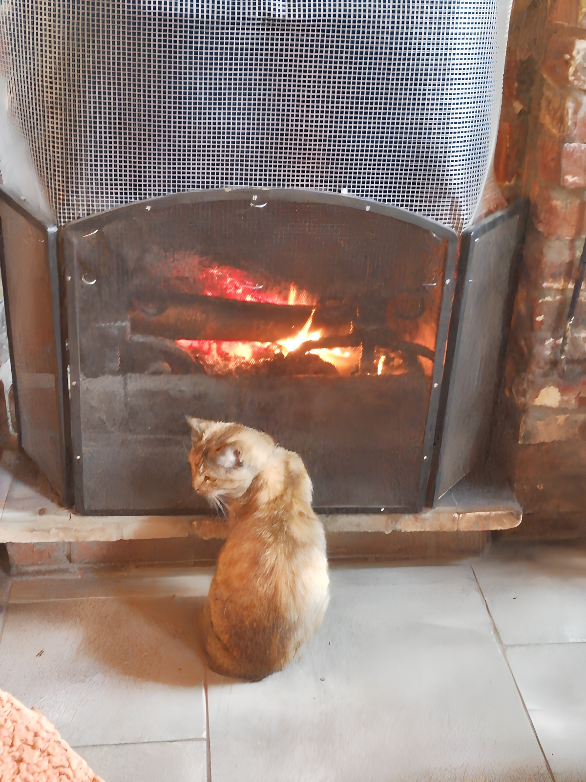 Appartement cosy à Estinnes, 40 m², jardin clôturé partagé - Photo 13