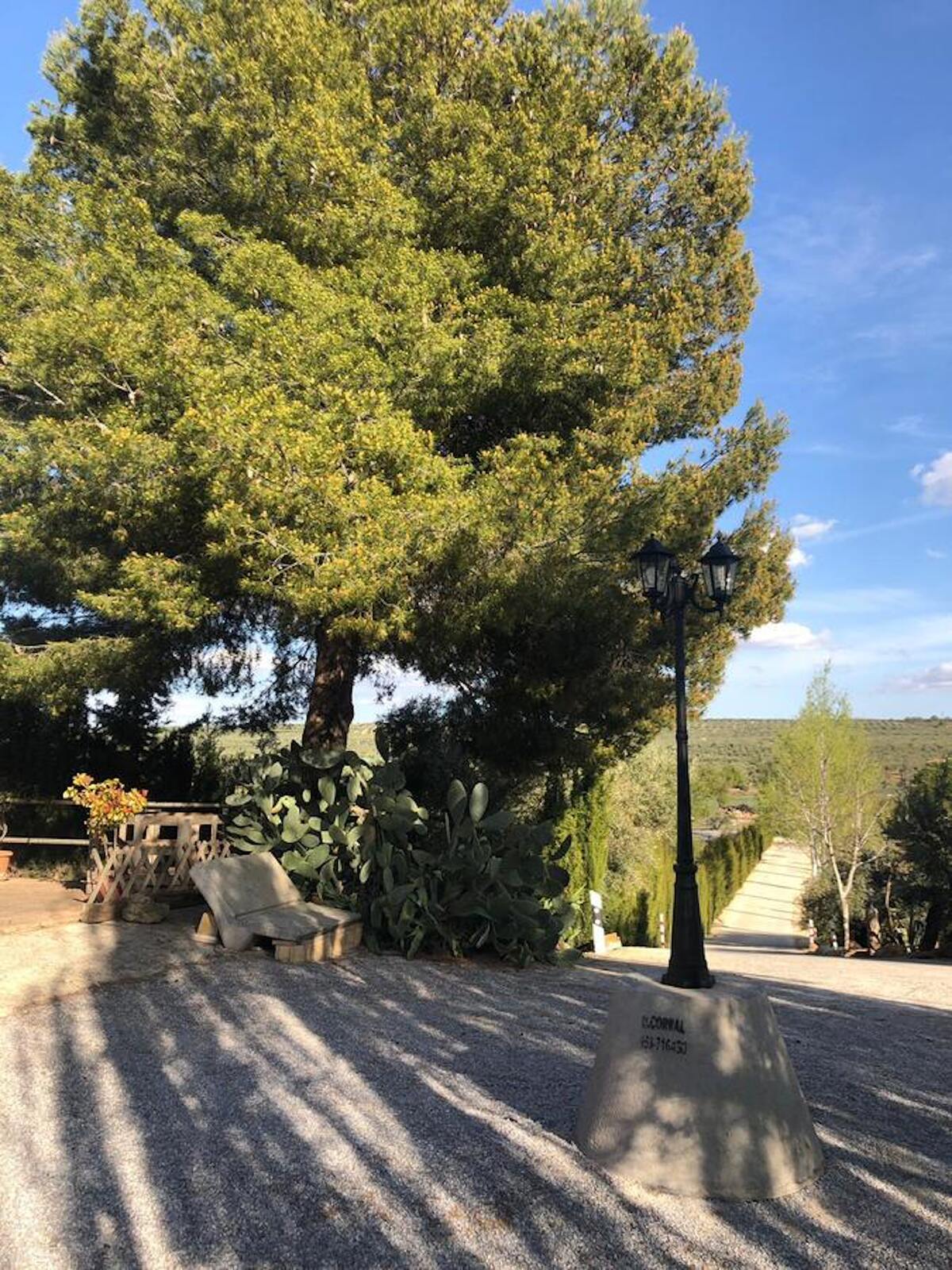 Maison 8 pers. avec piscine privée à Cañada Morteros - Photo 9