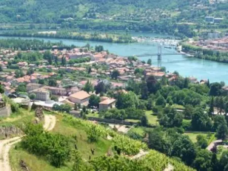 Bungalow charmant à Condrieu avec piscine partagée conviviale - Photo 14