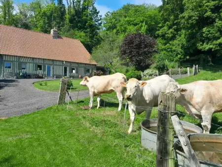 Maison charmante à Offranville avec grand jardin - Photo 40