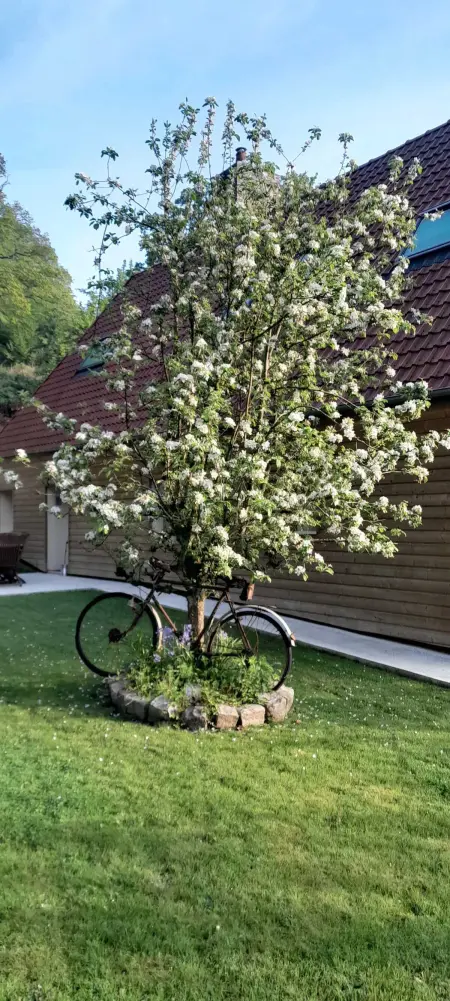 Maison charmante à Offranville avec grand jardin - Photo 48