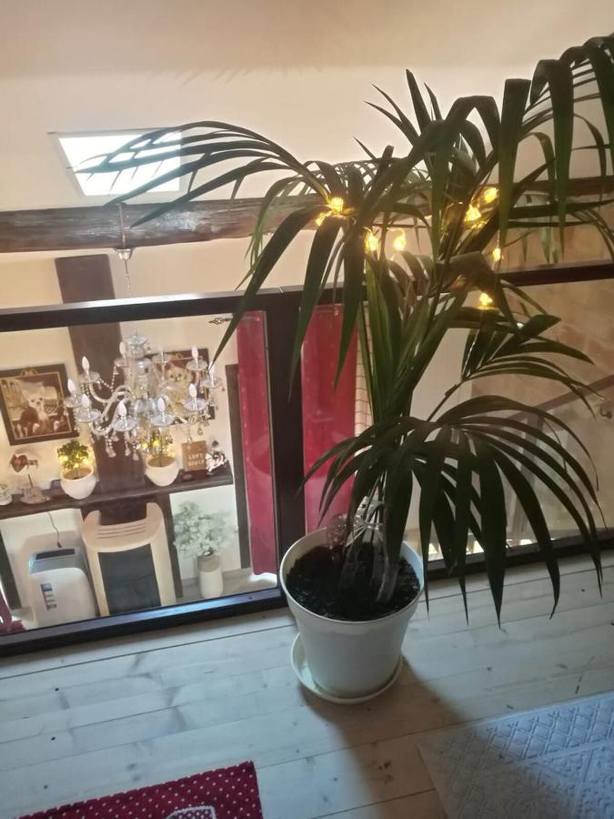 Studio 130 m² à Vignanello pour 7 personnes, balcon privé - Photo 16
