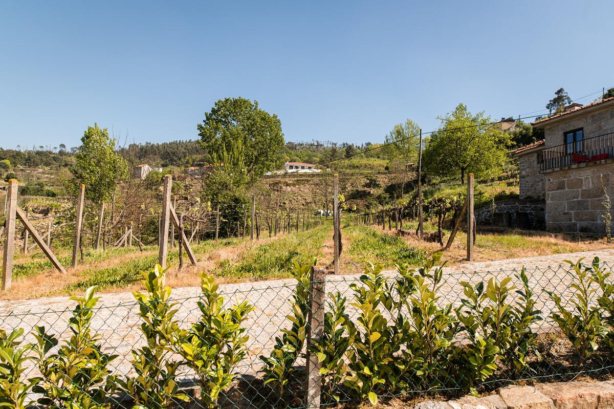 Villa 13 pers., piscine toute l'année à Fornos - Photo 60