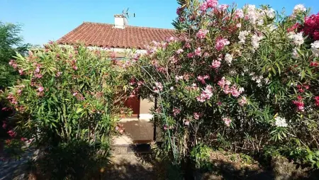 Villa familiale avec piscine chauffée à Chassiers, sud Ardèche : photo 3