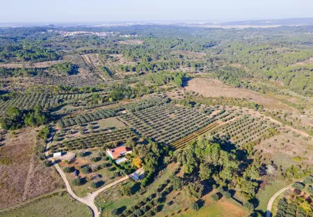 Villa élégante à Carcavelos avec piscine privée - Photo 31