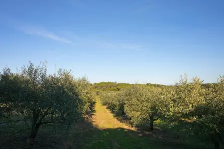 Villa élégante à Carcavelos avec piscine privée - Photo 35