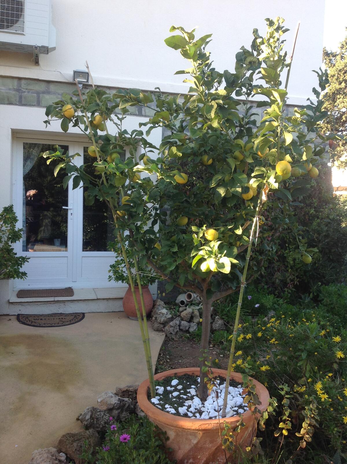 Appartement 4 personnes à Fréjus, jardin avec barbecue - Photo 3