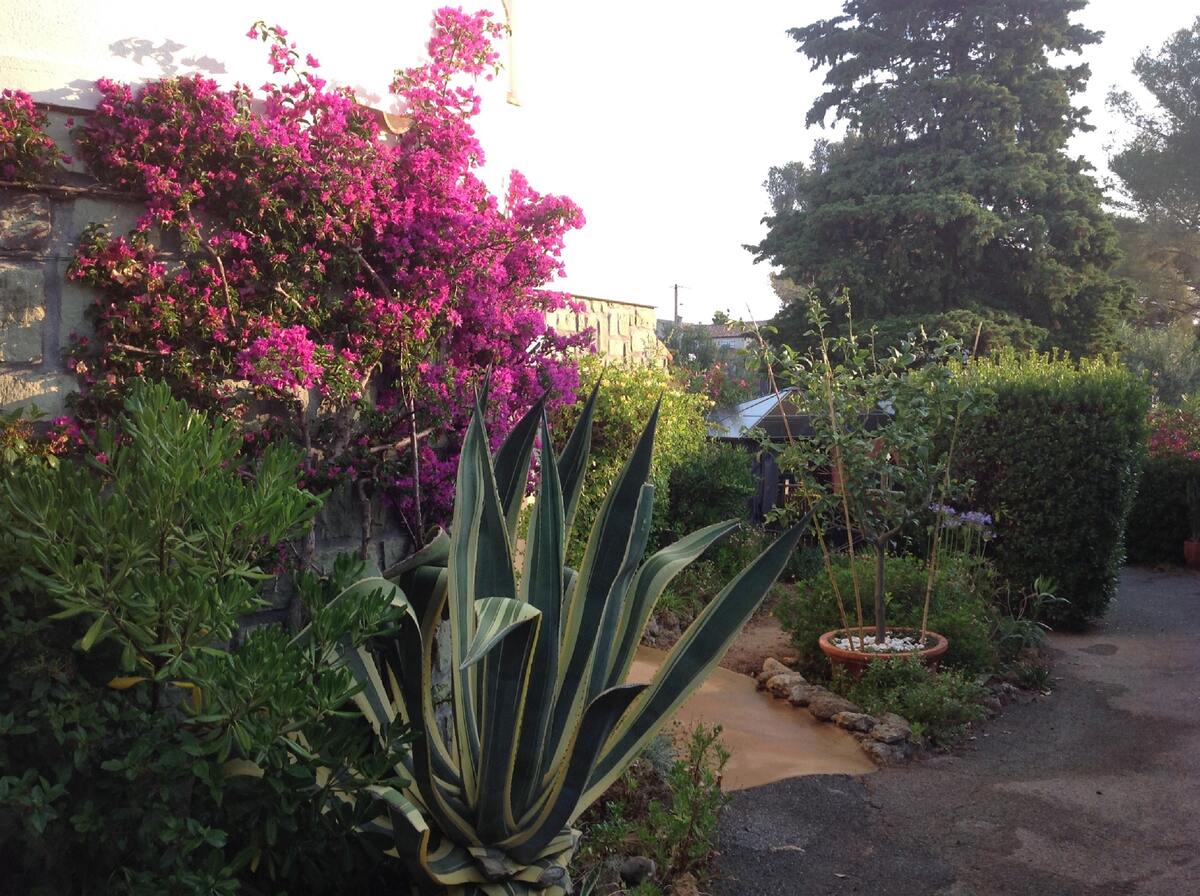Appartement 4 personnes à Fréjus, jardin avec barbecue - Photo 24
