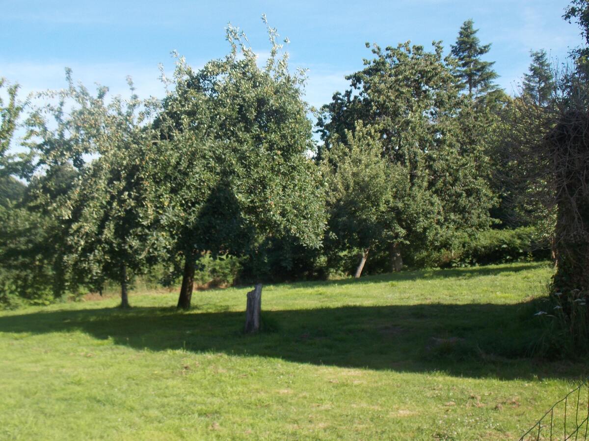 Maison 70 m² à Sourdeval, jardin avec barbecue - Photo 10