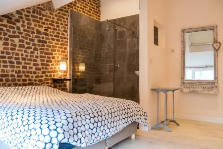 Maison avec sauna et entrée privée, 4 chambres à La Roche-en-Ardenne : photo 5