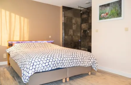 Maison avec sauna et entrée privée, 4 chambres à La Roche-en-Ardenne : photo 9