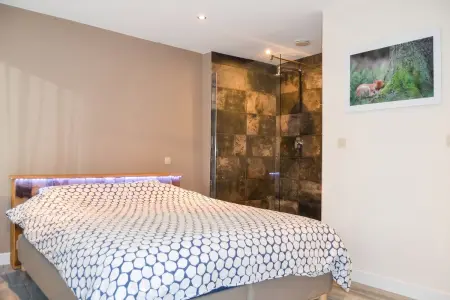 Maison avec sauna et entrée privée, 4 chambres à La Roche-en-Ardenne : photo 16