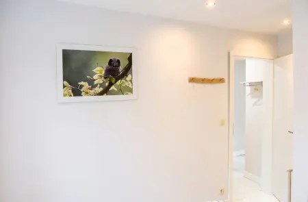 Maison avec sauna et entrée privée, 4 chambres à La Roche-en-Ardenne : photo 27