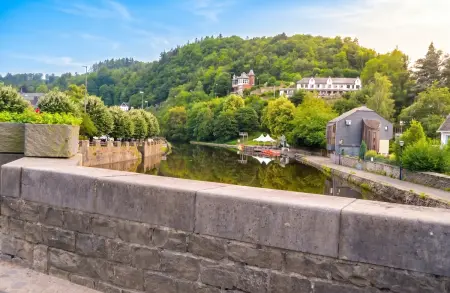 Maison avec sauna et entrée privée, 4 chambres à La Roche-en-Ardenne : photo 33